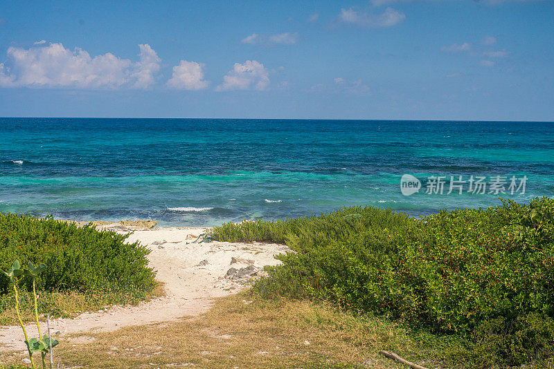 Isla Mujeres的自然景观